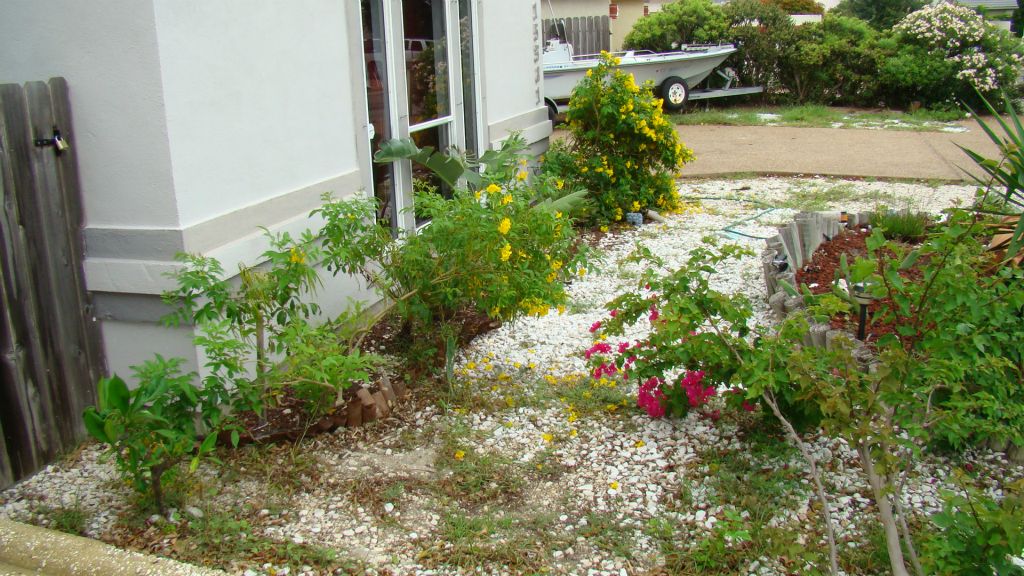 EXISTING PLANTS AND ROCK FRONT YARD TO BE REMOVED